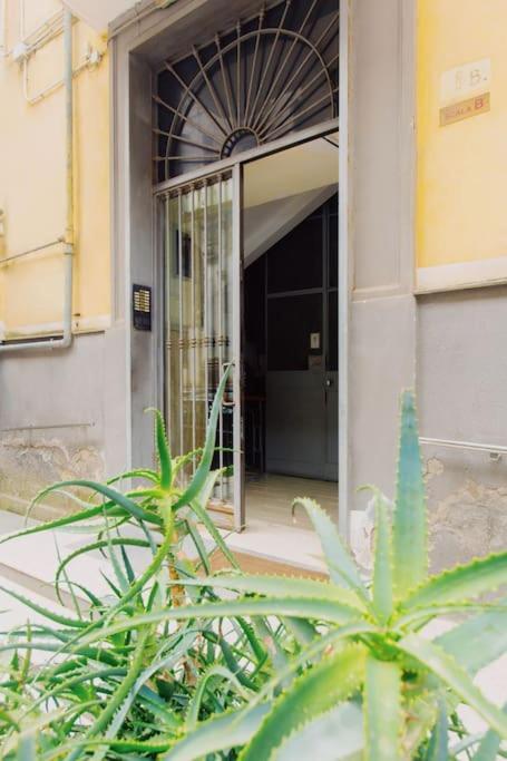 Mann House Apartment Naples